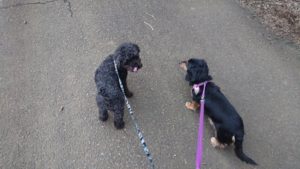 朝のお時間 2020/1/11