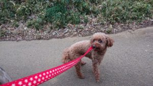 朝のお時間 2020/1/12