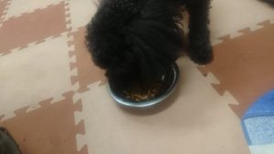 夜のお時間 2020/1/12