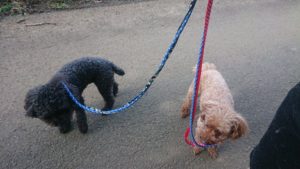 朝のお時間 2020/1/13