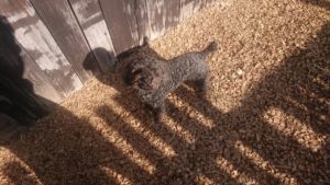 昼のお時間 2020/1/13