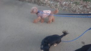 夜のお時間 2020/1/13