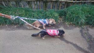 朝のお時間 2020/1/14