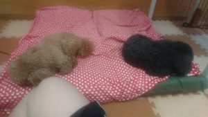 昼のお時間 2020/1/14