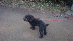 夜のお時間 2020/1/14