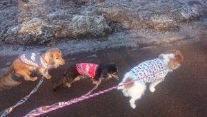 朝のお時間 2020/1/16