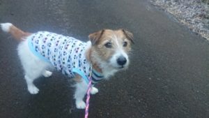 夜のお時間 2020/1/16