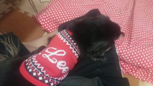 昼のお時間 2020/1/16