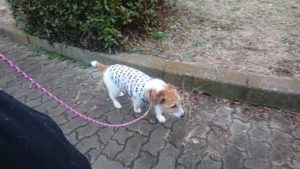 夜のお時間 2020/1/17