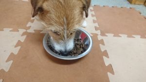 夜のお時間 2020/1/18