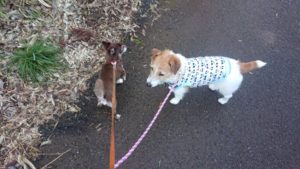 朝のお時間 2020/1/19