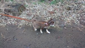 夜のお時間 2020/1/19