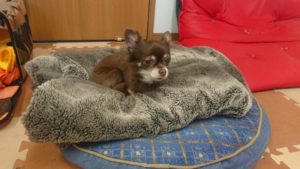 昼のお時間 2020/1/19