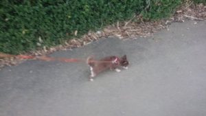 朝のお時間 2020/1/20