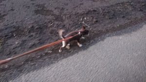 夜のお時間 2020/1/20