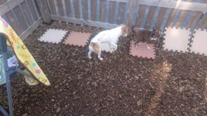 朝のお時間 2020/1/21