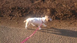 夜のお時間 2020/1/21