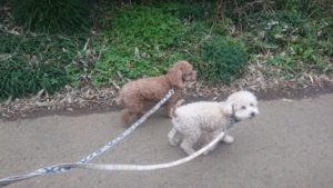 朝のお時間 2020/1/22