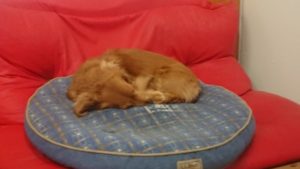 昼のお時間 2020/1/22