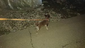 夜のお時間 2020/1/22