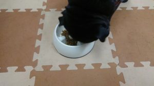 朝のお時間 2020/1/23