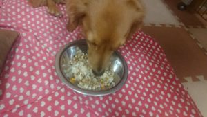 夜のお時間 2020/1/23