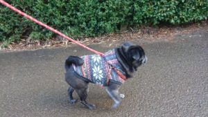 朝のお時間 2020/1/24