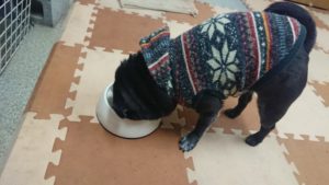 夜のお時間 2020/1/24