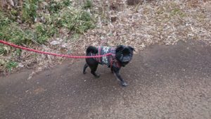 朝のお時間 2020/1/25