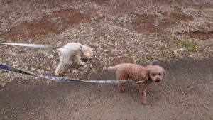 夜のお時間 2020/1/25