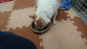 朝のお時間 2020/1/26