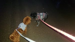 夜のお時間 2020/1/26