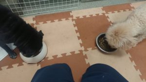 朝のお時間 2020/1/27