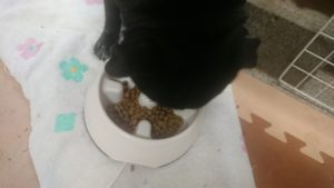 午後のお時間 2020/1/27