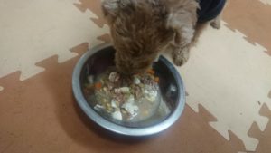 夜のお時間 2020/1/27