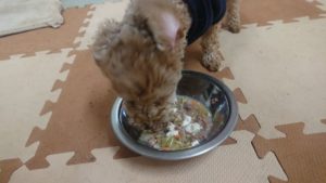 朝のお時間 2020/1/28