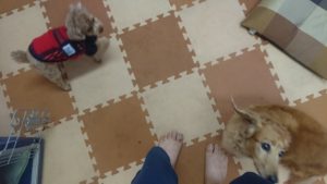 昼のお時間 2020/1/28