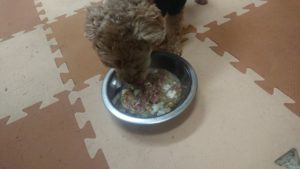 夜のお時間 2020/1/28