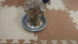 朝のお時間 2020/1/29