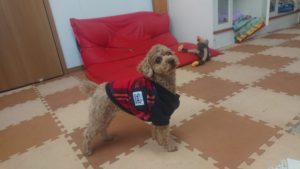 昼のお時間 2020/1/29