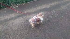 夜のお時間 2020/1/29