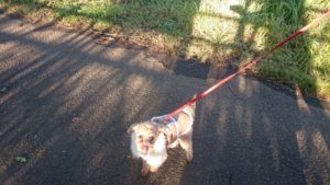 朝のお時間 2020/1/30