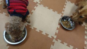 夜のお時間 2020/1/30