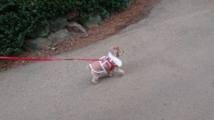 朝のお時間 2020/1/31