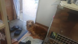 昼のお時間 2020/1/31