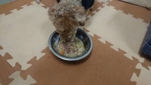 夜のお時間 2020/1/31