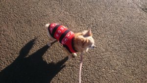 朝のお時間 2020/2/1