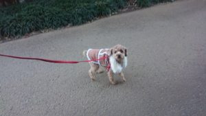 夜のお時間 2020/2/1