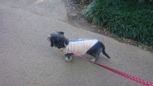 朝のお時間 2020/2/2