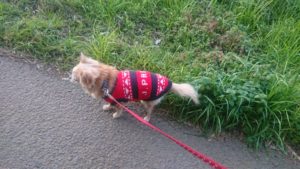 夜のお時間 2020/2/2